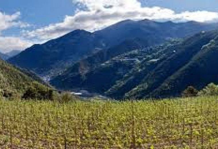 Tra gli ospiti: i vini del Principato di Andorra